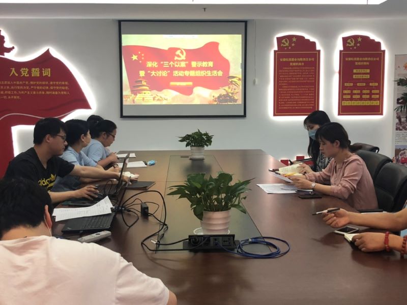 公司第一黨支部召開深化“三個(gè)以案”警示教育暨“大討論”活動(dòng)專題組織生活會(huì)