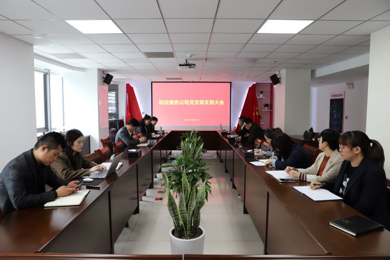 皖投服務(wù)公司黨支部組織召開支部大會暨積極分子選舉會